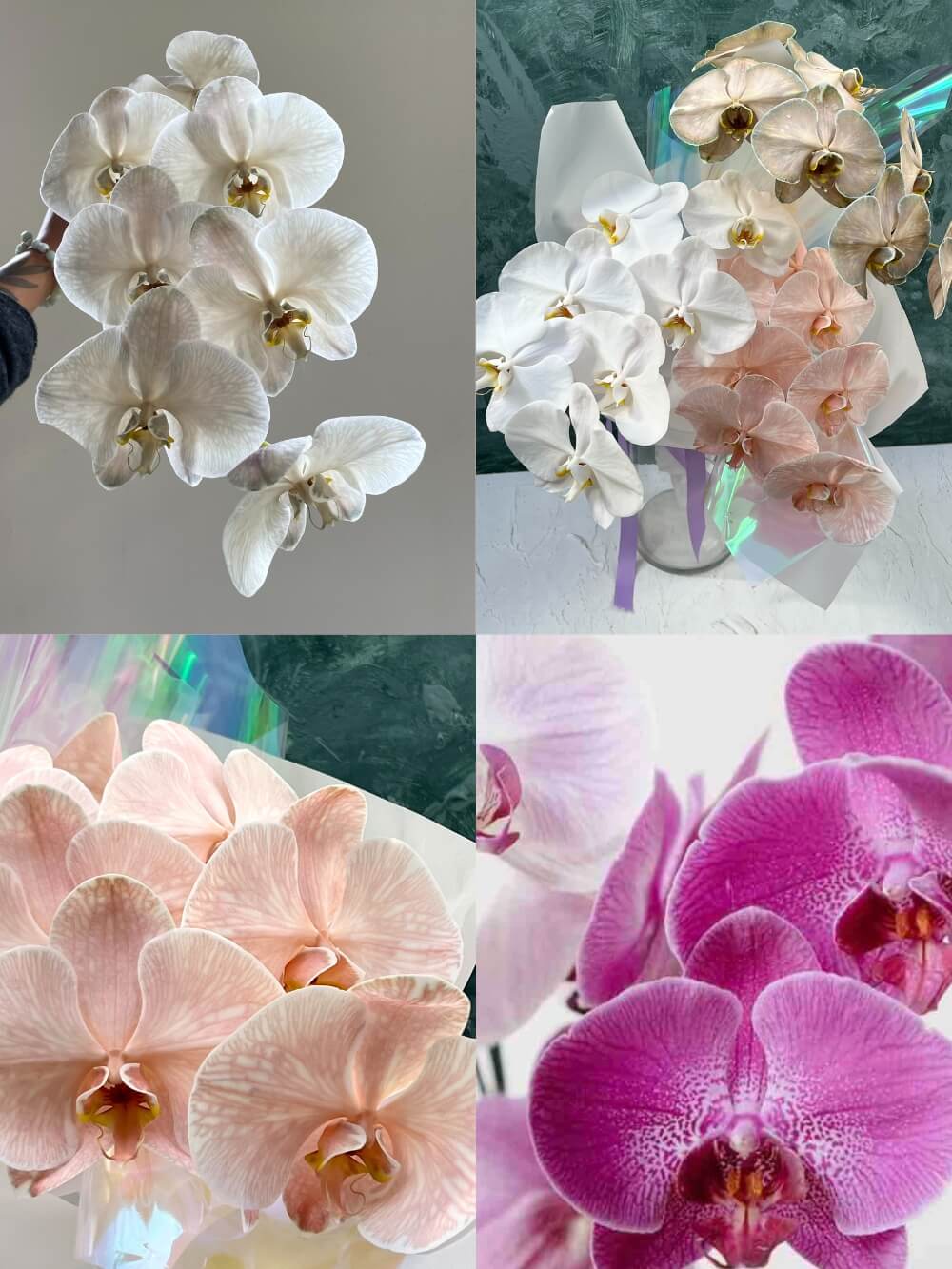 Orchid Opulence – Phalaenopsis Orchid Flower Bouquet