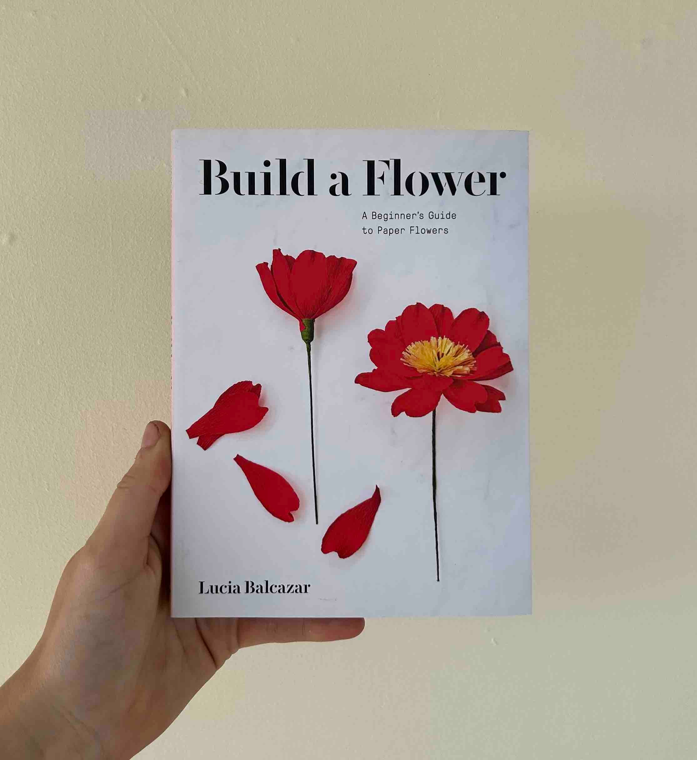 Art, Craft & Design Books