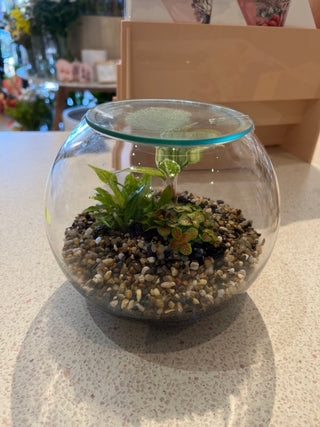 Glass Pebble Terrarium by Forest Life