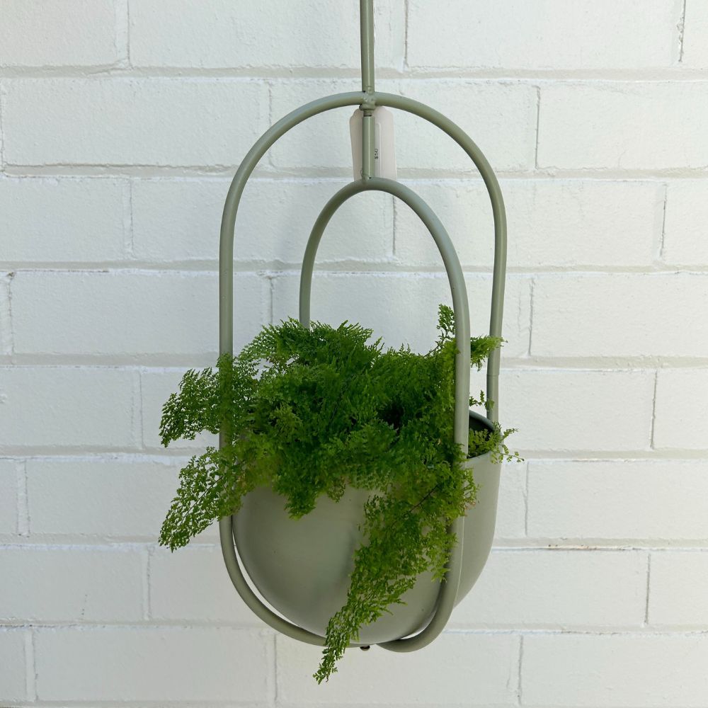 Maarit Metal Hanging Planter