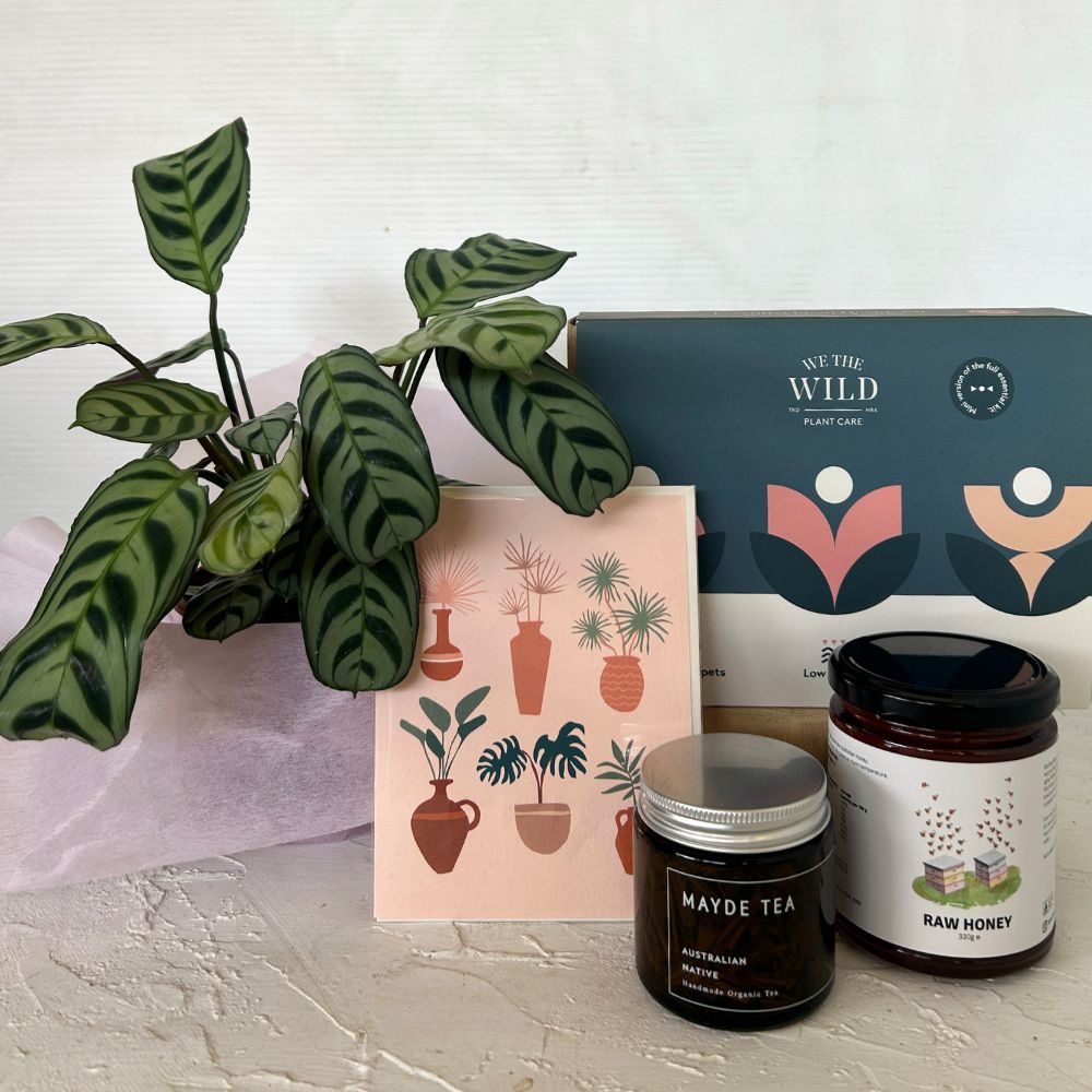 Plant Lover Gift Hamper