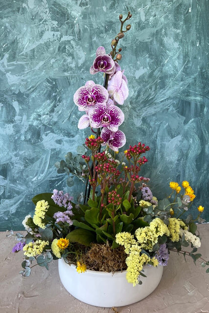 Living Art Designer Orchid Garden