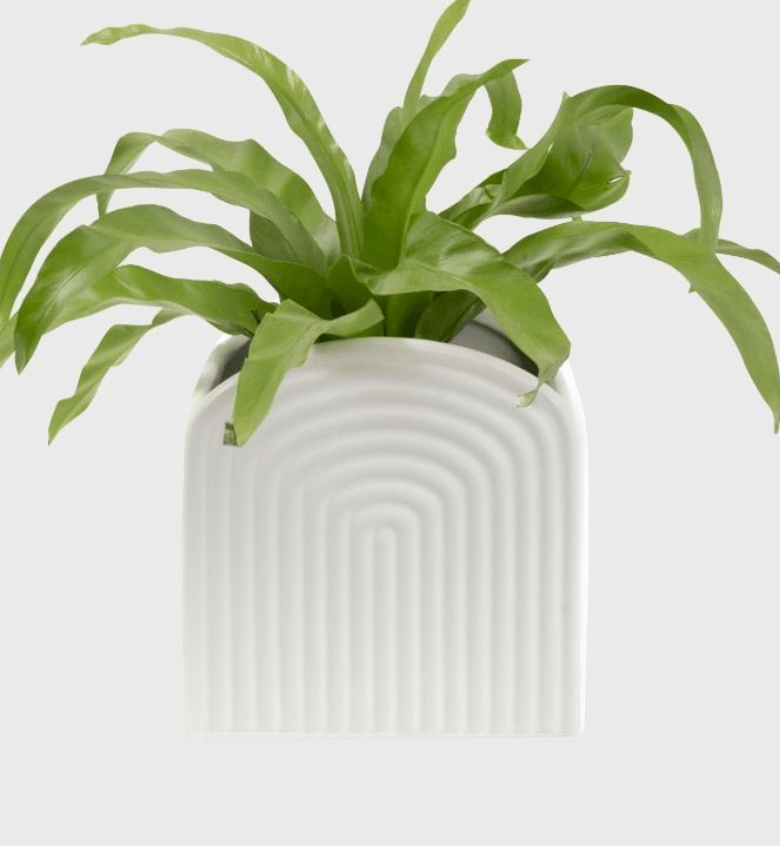 Gatsby Planter Pot - Lime Tree Bower