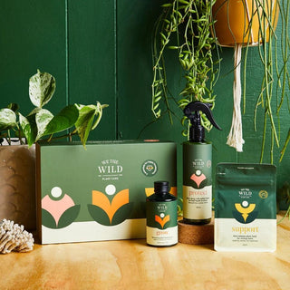 Essential Plant Care Kit by We The Wild - Lime Tree Bower
