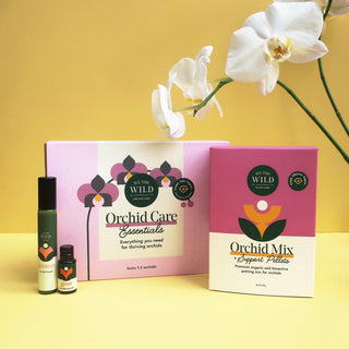 Orchid Care Essentials Kit by We The Wild - Lime Tree Bower