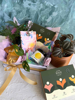 Valentine's Day Plant Lover Gift Box - Lime Tree Bower